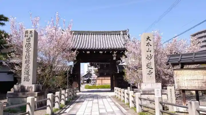 妙蓮寺(京都府)
