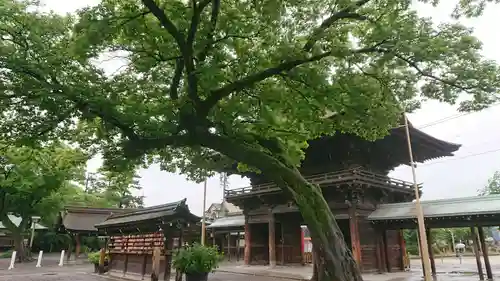 尾張大國霊神社（国府宮）の景色
