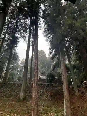 大宮温泉神社(栃木県)