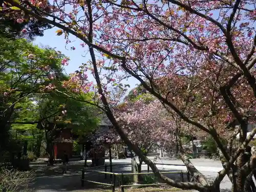 妙本寺の庭園