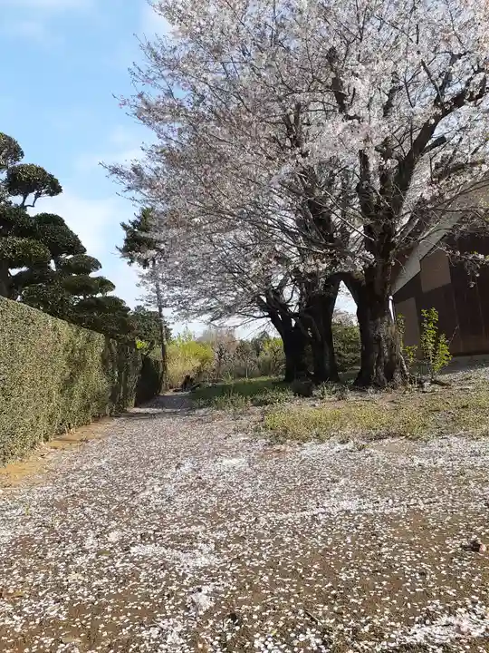 伏木香取神社の自然