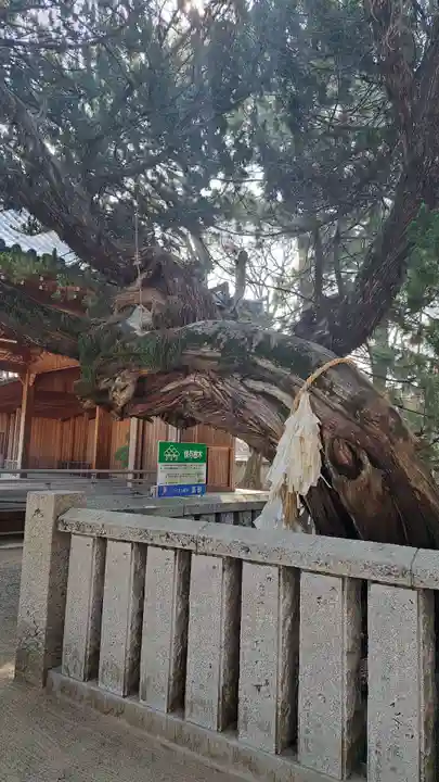 高砂神社(兵庫県)