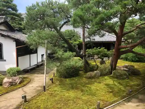 青蓮院門跡の庭園