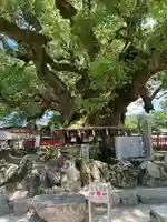 宇美八幡宮(福岡県)