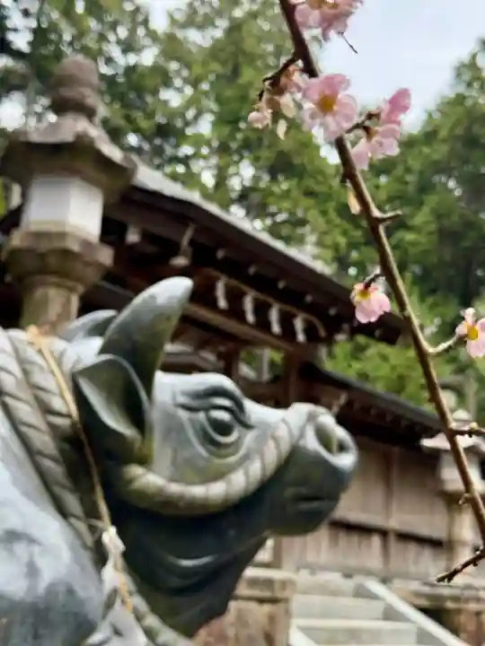 瀧樹神社(滋賀県)