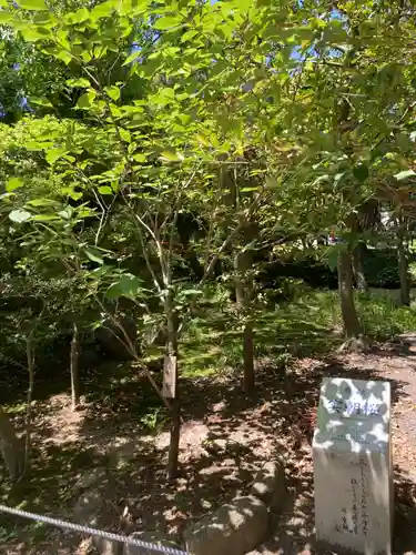 鶴岡八幡宮(神奈川県)
