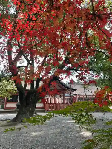 津島神社の{uncategorized: "未分類", other: "その他", undefined: "問題あり", building: "その他建物", grave: "お墓", sacred_gate: "鳥居", guardian: "狛犬", statue: "像", buddha: "仏像", history: "歴史", nature: "自然", garden: "庭園", animal: "動物", pagoda: "塔", temizu: "手水舎", mountain_gate: "山門・神門", sanctuary: "本殿・本堂", subordinate: "末社・摂社", art: "芸術", scenery: "景色", jizo: "地蔵", ema: "絵馬", goshuin: "御朱印", omikuji: "おみくじ", items: "授与品その他", amulet: "お守り", goshuincho: "御朱印帳", eats: "食事", festival: "お祭り", votive_dance: "神楽", shichigosan: "七五三参", wedding: "結婚式", experience: "体験その他", initially: "初詣", around: "周辺", anti_infection: "感染症対策"}