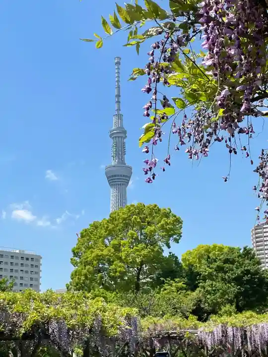 亀戸天神社(東京都)