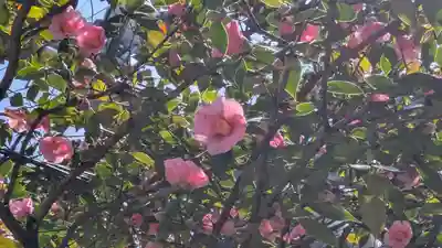 霊源院(京都府)