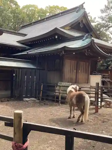平塚八幡宮(神奈川県)