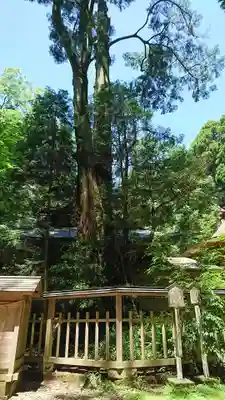 幣立神宮のその他建物