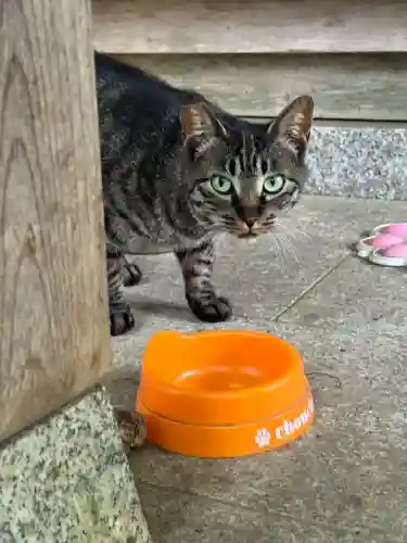 玉野御嶽神社(愛知県)