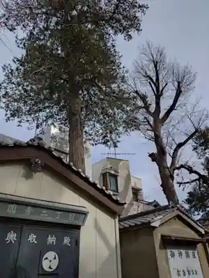 高円寺天祖神社(東京都)