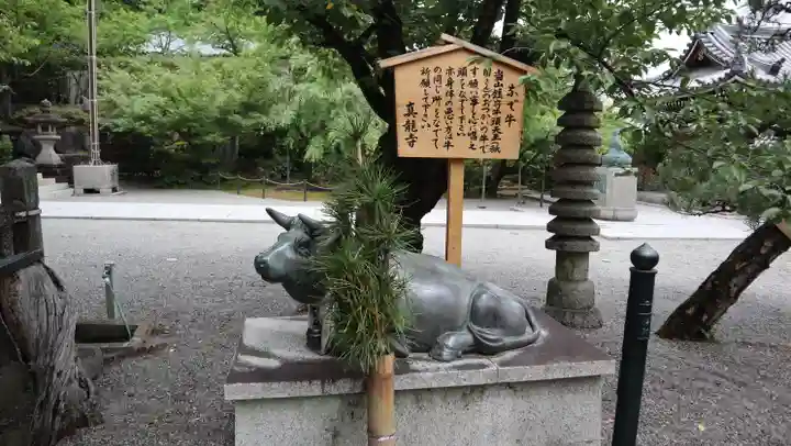 真龍寺(大阪府)