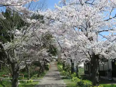 居多神社の周辺