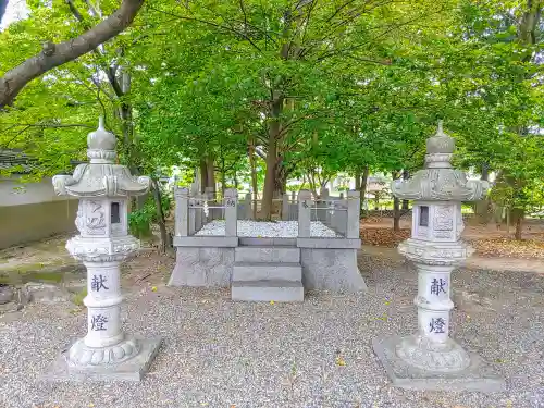 若宮八幡社の自然