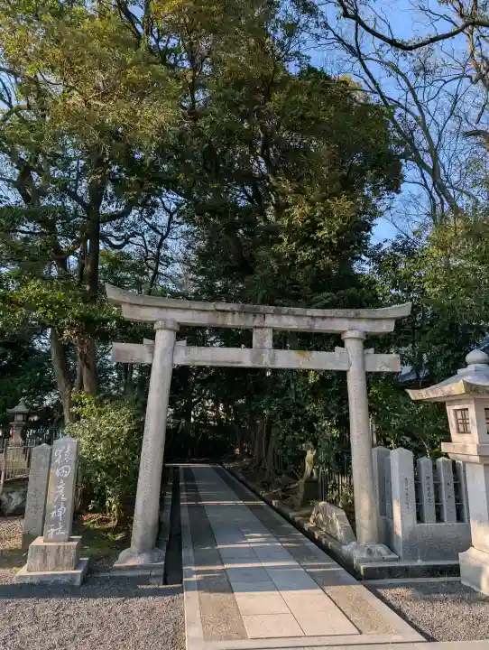 猿田彦神社の{uncategorized: "未分類", other: "その他", undefined: "問題あり", building: "その他建物", grave: "お墓", sacred_gate: "鳥居", guardian: "狛犬", statue: "像", buddha: "仏像", history: "歴史", nature: "自然", garden: "庭園", animal: "動物", pagoda: "塔", temizu: "手水舎", mountain_gate: "山門・神門", sanctuary: "本殿・本堂", subordinate: "末社・摂社", art: "芸術", scenery: "景色", jizo: "地蔵", ema: "絵馬", goshuin: "御朱印", omikuji: "おみくじ", items: "授与品その他", amulet: "お守り", goshuincho: "御朱印帳", eats: "食事", festival: "お祭り", votive_dance: "神楽", shichigosan: "七五三参", wedding: "結婚式", experience: "体験その他", initially: "初詣", around: "周辺", anti_infection: "感染症対策"}