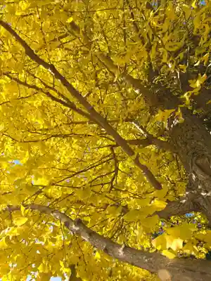 伊達神社(北海道)