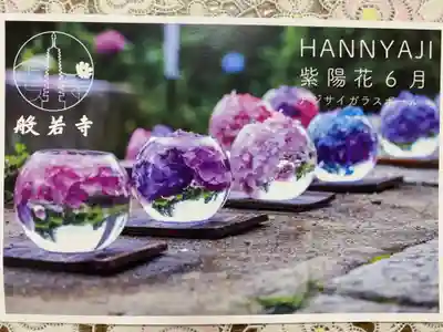 般若寺 ❁﻿コスモス寺❁(奈良県)