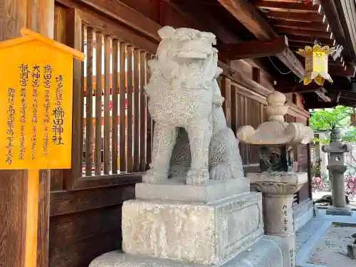 櫛田神社の狛犬