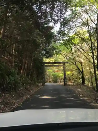 天の岩戸神社の鳥居