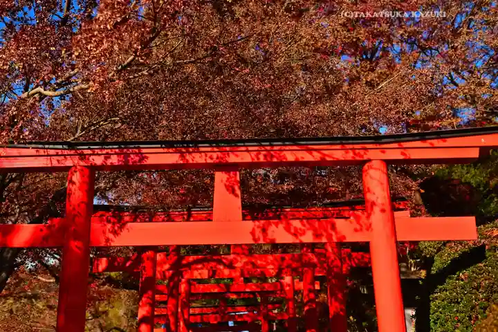 足利織姫神社(栃木県)