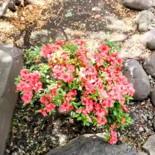 彌彦神社　(伊夜日子神社)の庭園