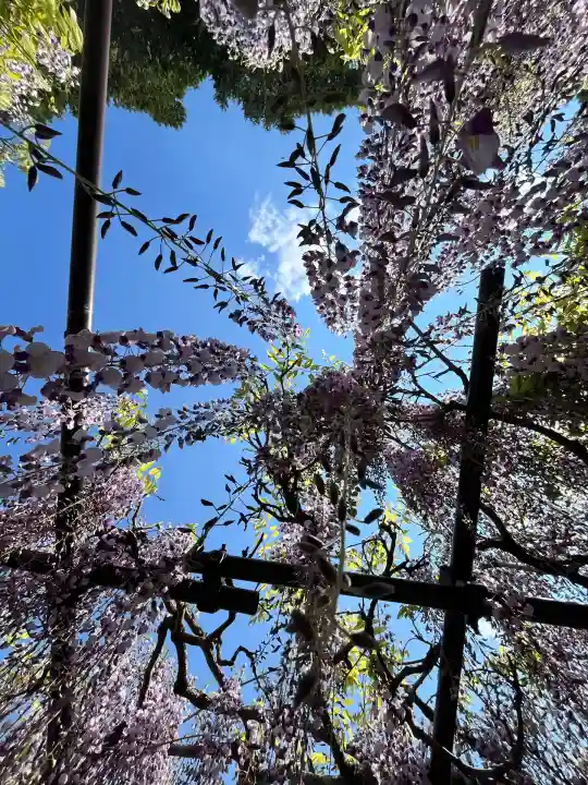 天台宗 五大山 白毫寺(兵庫県)