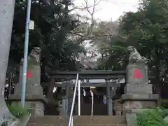 椙山神社の狛犬