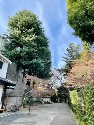 麟祥院(東京都)
