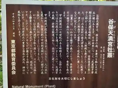 谷保天満宮の歴史