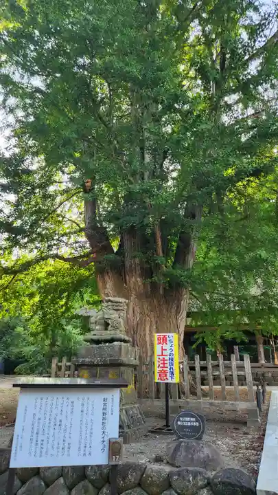 新宮熊野神社(福島県)