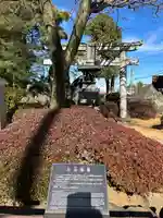 白山神社の鳥居