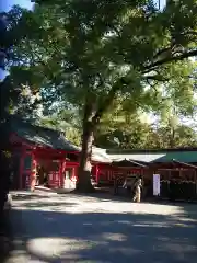 武蔵一宮氷川神社の建物その他