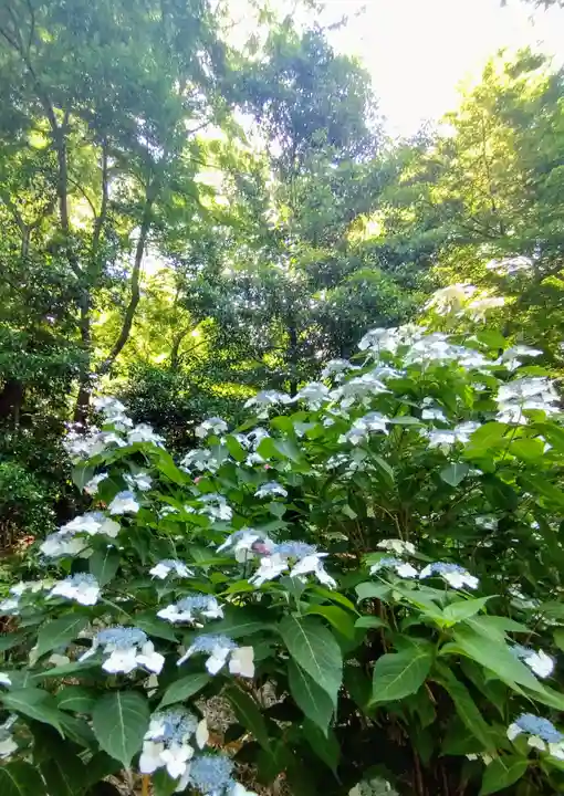 高幡不動尊 金剛寺(東京都)