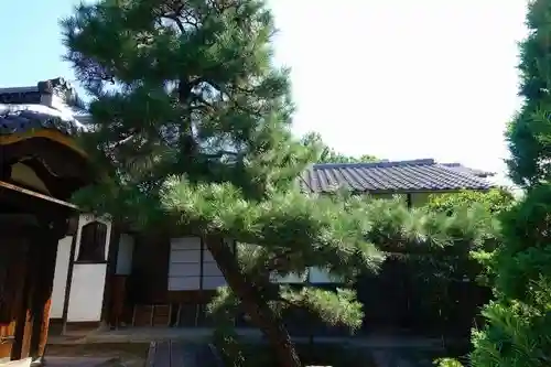 退耕庵の本殿・本堂