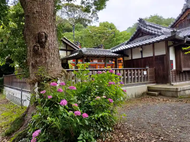 丹生官省符神社(和歌山県)