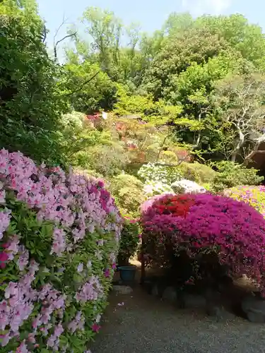 等覚院の御朱印