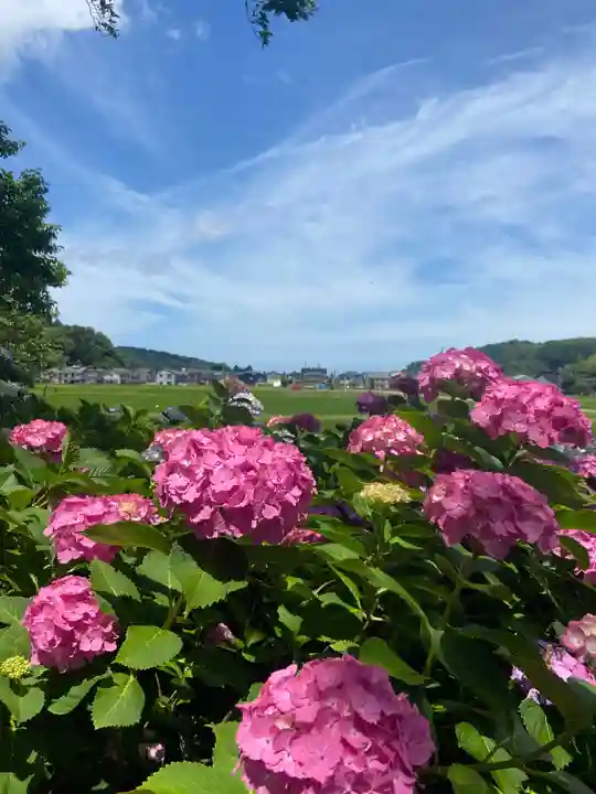 本興寺(石川県)