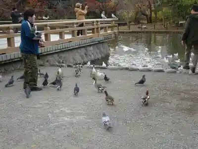 鶴岡八幡宮(神奈川県)