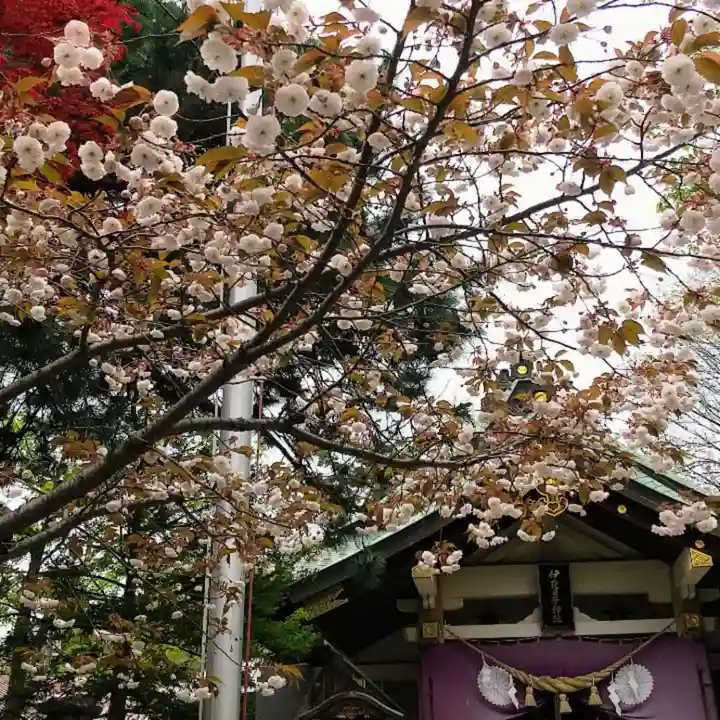 彌彦神社 (伊夜日子神社)の自然