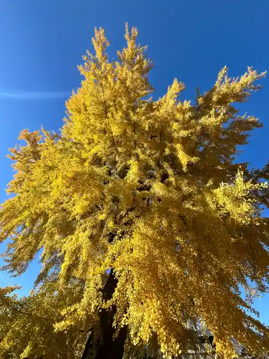 丹生酒殿神社(和歌山県)