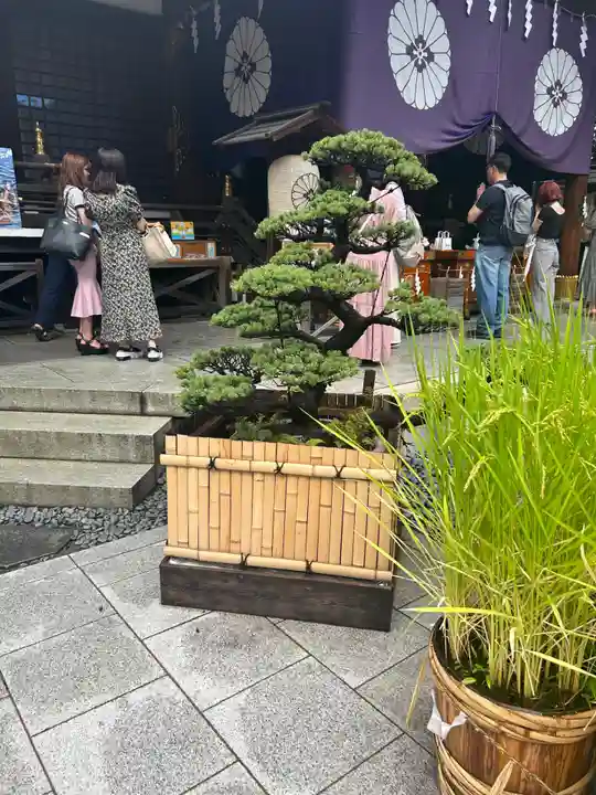 東京大神宮(東京都)