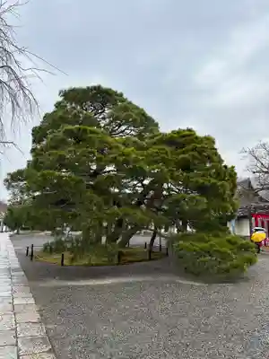 醍醐寺(京都府)