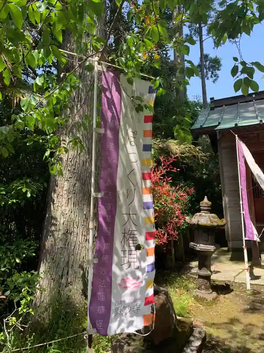 顕妙寺(千葉県)