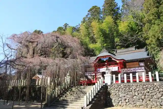 小川諏訪神社の本殿・本堂