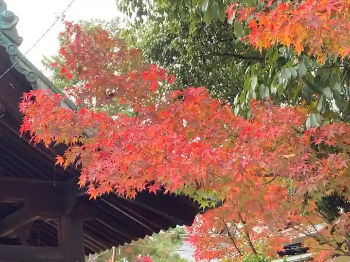 龍田大社(奈良県)