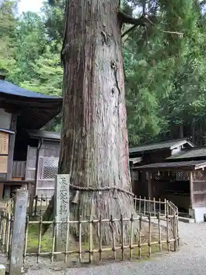 日枝神社のその他建物
