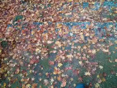 瀧宮神社(広島県)