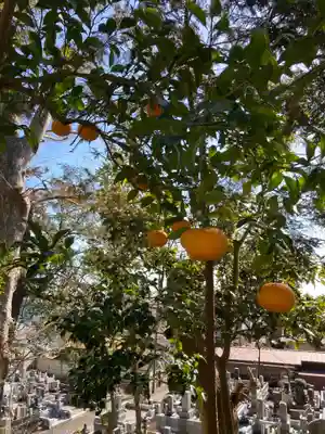 真勝寺(神奈川県)